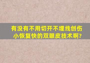 有没有不用切开不埋线创伤小恢复快的双眼皮技术啊?