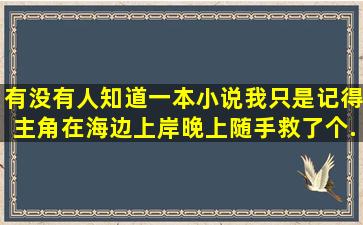 有没有人知道,一本小说,我只是记得主角在海边上岸晚上随手救了个...