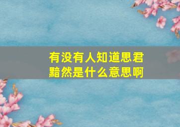 有没有人知道思君黯然是什么意思啊