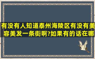 有没有人知道泰州海陵区有没有美容美发一条街啊?如果有的话在哪里...