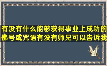 有没有什么能够获得事业上成功的佛号或咒语,有没有师兄可以告诉我呀