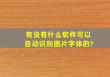 有没有什么软件可以自动识别图片字体的?