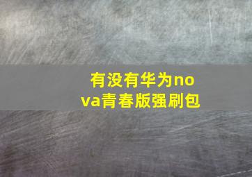 有没有华为nova青春版强刷包