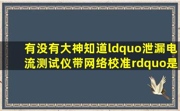 有没有大神知道“泄漏电流测试仪带网络校准”是什么意思啊?