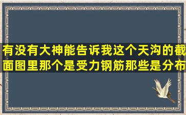 有没有大神能告诉我,这个天沟的截面图里那个是受力钢筋,那些是分布筋