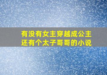 有没有女主穿越成公主还有个太子哥哥的小说