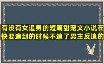 有没有女追男的短篇甜宠文小说,在快要追到的时候不追了,男主反追的...