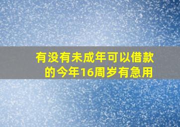 有没有未成年可以借款的,今年16周岁,有急用