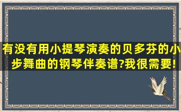 有没有用小提琴演奏的贝多芬的小步舞曲的钢琴伴奏谱?我很需要!