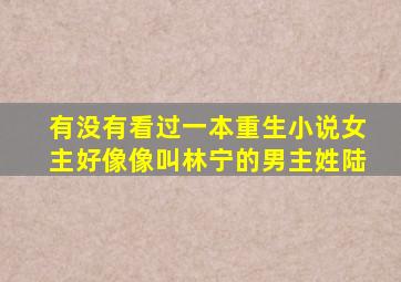 有没有看过,一本重生小说,,女主好像像叫林宁的,男主姓陆,