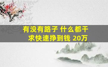 有没有路子 什么都干 求快速挣到钱 20万 ,