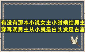 有没有那本小说女主小时候给男主穿耳洞,男主从小就是白头发,是古言...