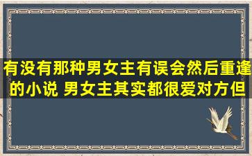 有没有那种男女主有误会然后重逢的小说 男女主其实都很爱对方但是...