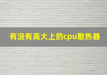 有没有高大上的cpu散热器