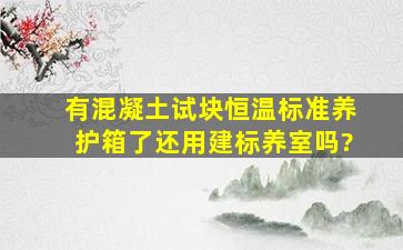 有混凝土试块恒温标准养护箱了还用建标养室吗?