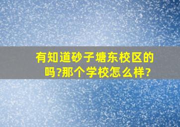 有知道砂子塘东校区的吗?那个学校怎么样?