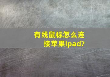 有线鼠标怎么连接苹果ipad?