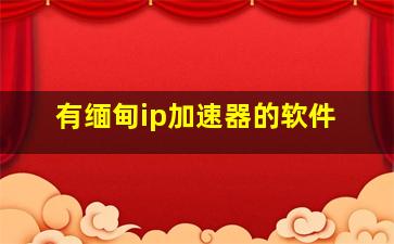 有缅甸ip加速器的软件