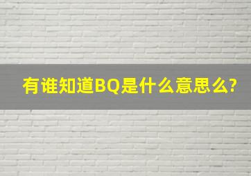 有谁知道BQ是什么意思么?