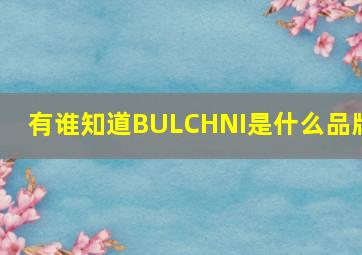 有谁知道BULCHNI是什么品牌