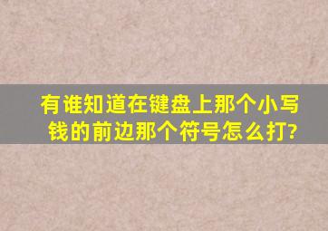 有谁知道在键盘上那个小写钱的前边那个符号怎么打?