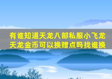 有谁知道天龙八部私服小飞龙天龙金币可以换赠点吗找谁换