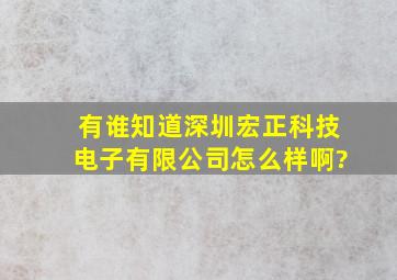 有谁知道深圳宏正科技电子有限公司怎么样啊?