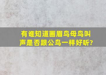 有谁知道画眉鸟母鸟叫声是否跟公鸟一样好听?