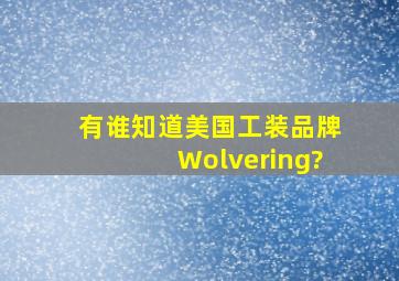 有谁知道美国工装品牌Wolvering?