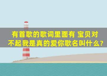 有首歌的歌词里面有 宝贝对不起,我是真的爱你。歌名叫什么?