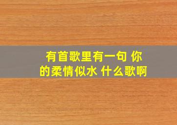 有首歌里有一句 你的柔情似水 什么歌啊