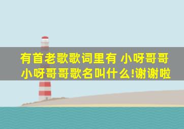 有首老歌歌词里有 小呀哥哥 小呀哥哥歌名叫什么!谢谢啦