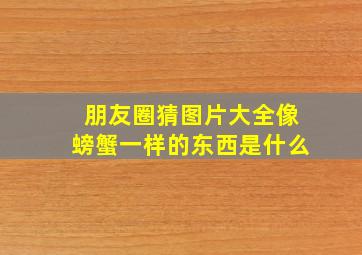 朋友圈猜图片大全像螃蟹一样的东西是什么