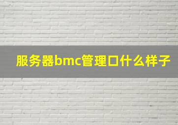 服务器bmc管理口什么样子