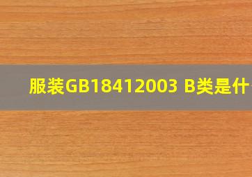 服装GB18412003 B类是什么?