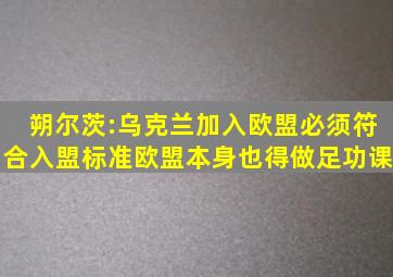 朔尔茨:乌克兰加入欧盟必须符合入盟标准,欧盟本身也得做足功课