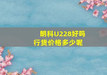 朗科U228好吗 行货价格多少呢