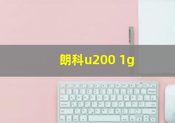 朗科u200 1g