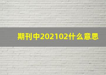 期刊中2021,(02)什么意思