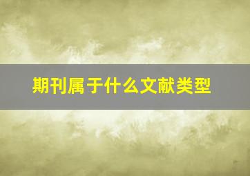 期刊属于什么文献类型