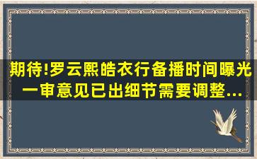 期待!罗云熙《皓衣行》备播时间曝光,一审意见已出细节需要调整...