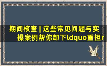 期间核查 | 这些常见问题与实操案例帮你卸下“重担”