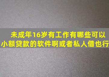 未成年16岁,有工作,有哪些可以小额贷款的软件啊,或者私人借也行