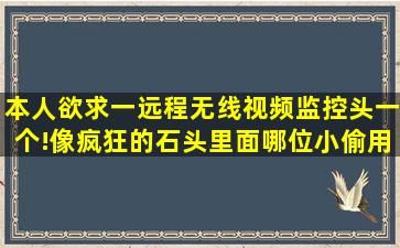 本人欲求一远程无线视频监控头一个!像疯狂的石头里面哪位小偷用...