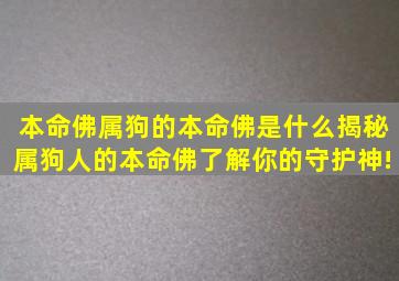 本命佛属狗的本命佛是什么,揭秘属狗人的本命佛,了解你的守护神!