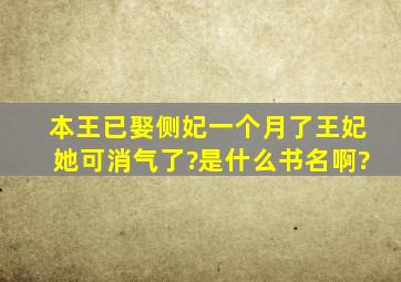 本王已娶侧妃一个月了,王妃她可消气了?是什么书名啊?