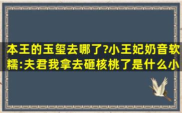 本王的玉玺去哪了?小王妃奶音软糯:夫君我拿去砸核桃了是什么小说呀