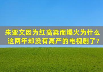 朱亚文因为《红高粱》而爆火,为什么这两年却没有高产的电视剧了?