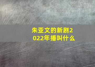 朱亚文的新剧2022年播叫什么(