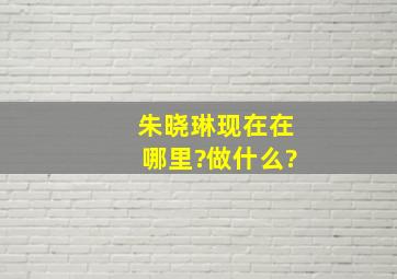 朱晓琳现在在哪里?做什么?